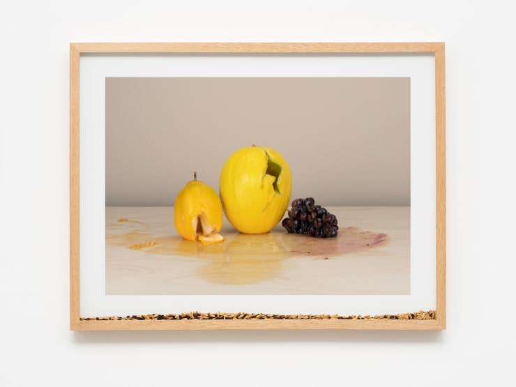 Pablo Lobato "Muda (Maracujá, melão, uvas, #1)", 2021 impressão de tinta mineral em papel de algodão, moldura de madeira, vidro, sementes de maracujá, melão e uvas mineral print on cotton paper, wooden frame, glass, passion fruit, melon and grapes seeds 60 x 78 x 5 cm | 23.62 x 30.71 x 1.97 in