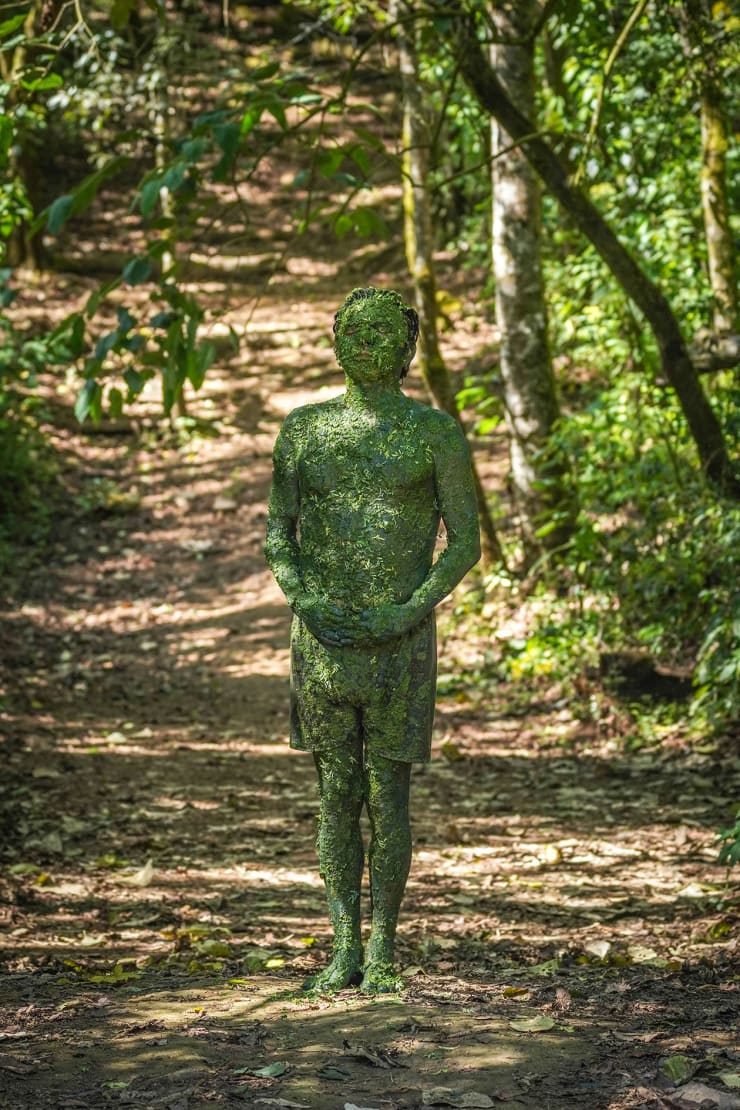 Benvenuto Chavajay Planta/naturaleza, 2022 impressão fineart sobre papel Hahnemühle Matt Fibre | fineart print on Hahnemühle Matt Fiber paper 90 x 60 cm | 35.43 x 23.62 in