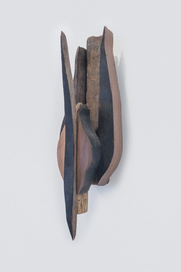Afonso Tostes, ¨Série Elementos¨, 2011