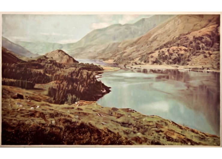 Rafael Carneiro, Sem Título, 2011