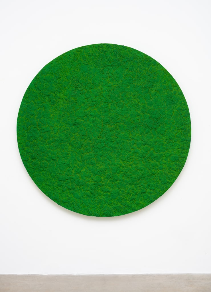 Bosco Sodi, Sem título | Untitled, 2024