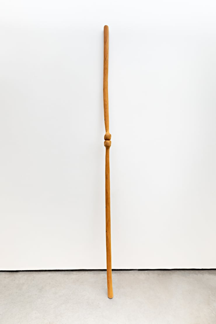 Afonso Tostes, "Aparição, apoio", 2022