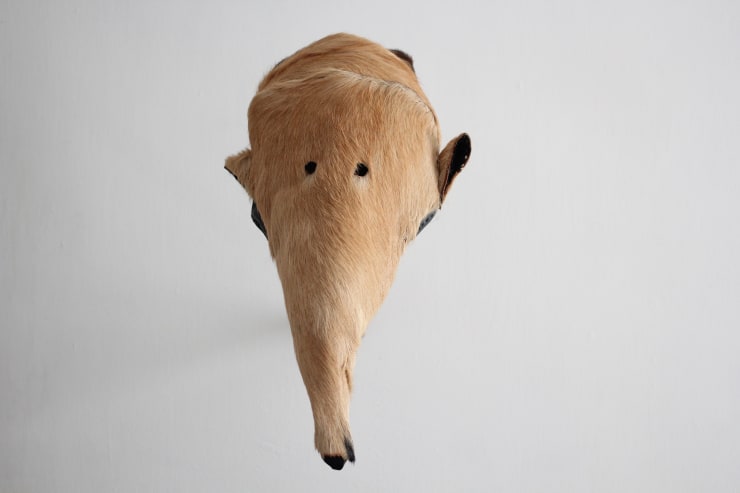 Dinho Araújo História dos animais e árvores, 2024 couro de bode e corino goat leather, twill and leatherette 47 x 29 x 24 cm 18.5 x 11.4 x 9.4 in