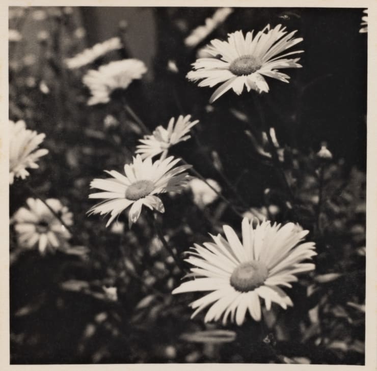 Gertrudes Altschul Sem título, c.1950 gelatina e prata | gelatin silver print 8,5 x 8,5 cm | 3.35 x 3.35 in vintage