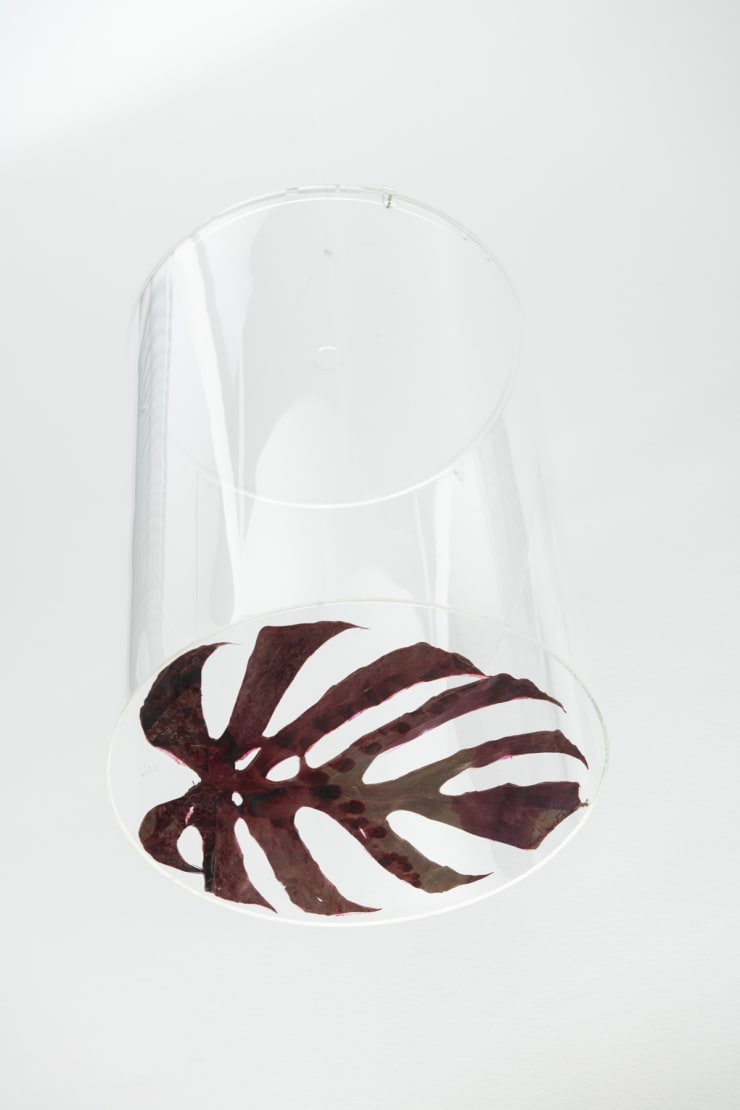 Analivia Cordeiro, Folhas V, 1975/2014