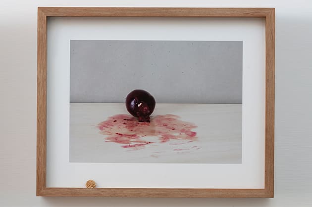 Pablo Lobato, Muda (Ameixa #2), 2014