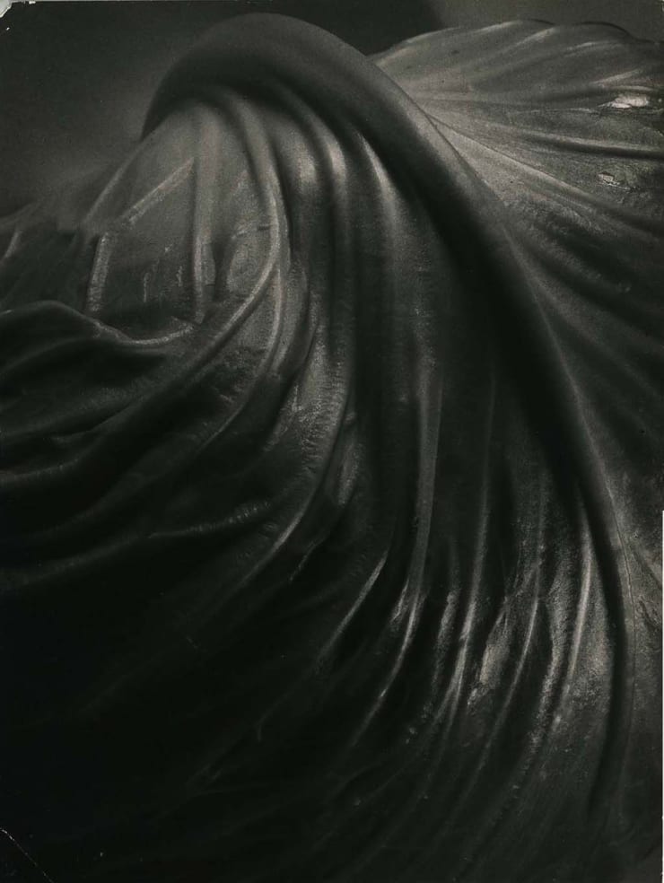 Paulo Pires Estudo Repolho, 1963 Gelatina e prata, vintage Vintage gelatin silver print 38 x 28 cm 14.96 x 11.02 in