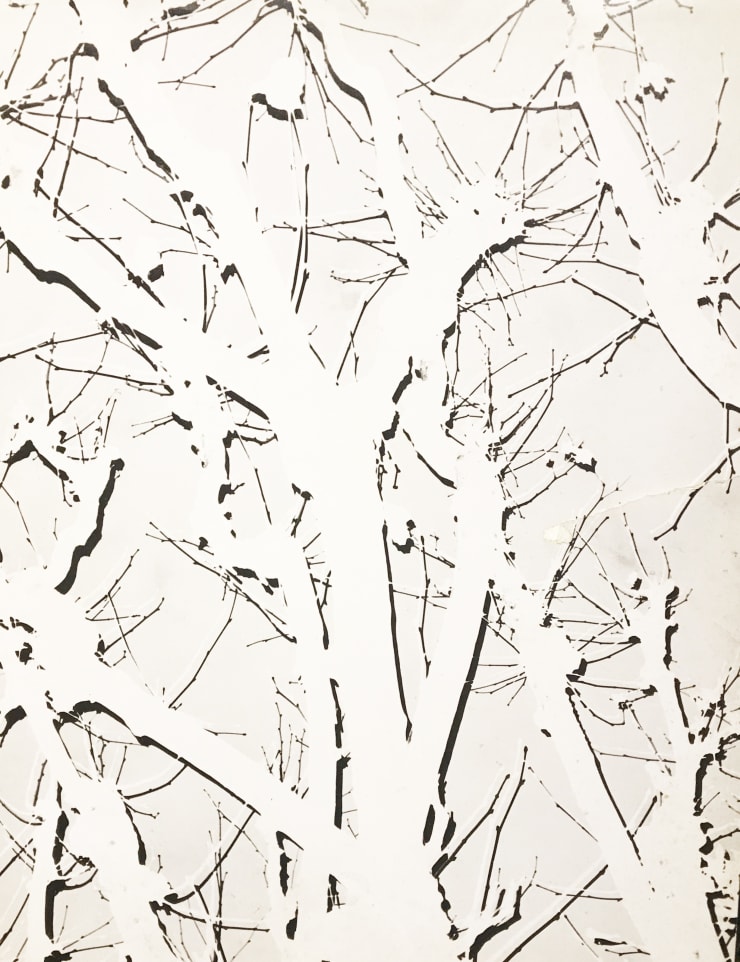 Gertrudes Altschul Estudo em Baixo Relevo, c. 1950 Gelatina e prata, vintage Vintage gelatin silver print 40 x 30 cm 15.74 x 11.81 in