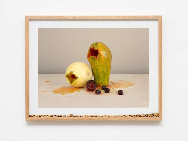 Pablo Lobato "Muda (Ameixa, mamão, melão, uvas, #1)", 2021 impressão de tinta mineral em papel de algodão, moldura de madeira, vidro, sementes de ameixa, mamão, melão e uvas mineral print on cotton paper, wooden frame, glass, plum, papaya, melon and grapes seeds 60 x 78 x 5 cm | 23.62 x 30.71 x 1.97 in