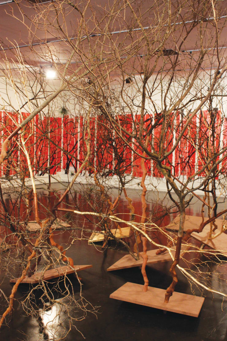 Afonso Tostes, Exhibition view of ¨Baque Virado¨, 2011