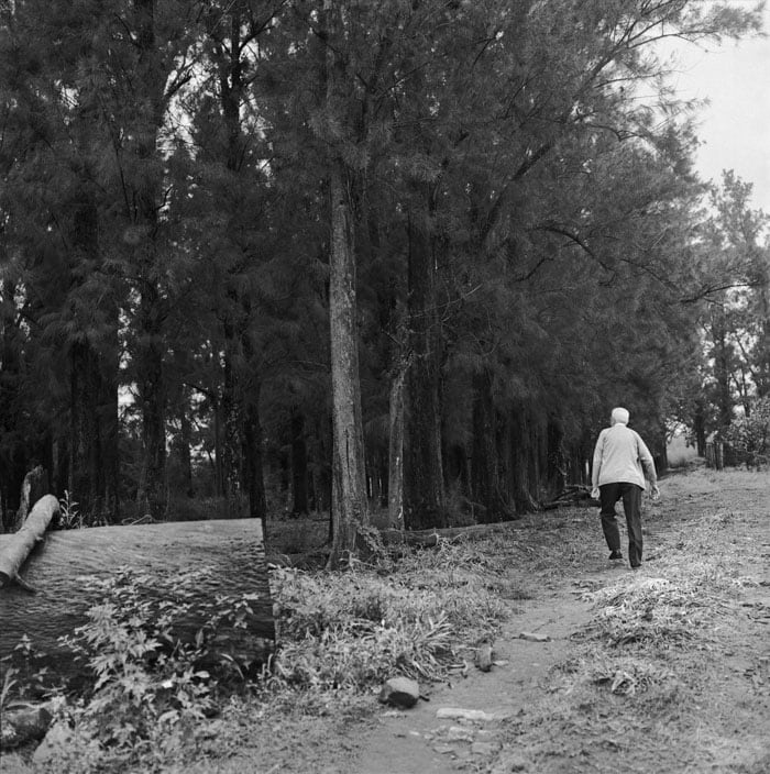 João Luiz Musa, “Luiz Revendo a Fazenda, Rio das Pedras”, 1983