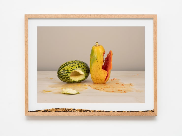 Pablo Lobato "Muda (Mamão, melão, #1) ", 2021 impressão de tinta mineral em papel de algodão, moldura de madeira, vidro, sementes de mamão e melão mineral print on cotton paper, wooden frame, glass, papaya and melon seeds 60 x 78 x 5 cm | 23.62 x 30.71 x 1.97 in