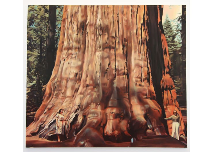 Rafael Carneiro, Sem Título, 2012