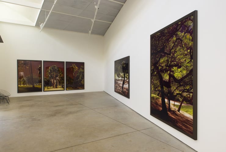 Caio Reisewitz | Aterro