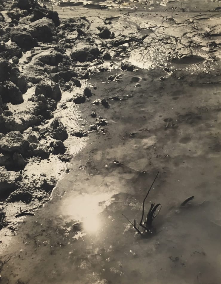 Thomaz Farkas Sem título | Untitled, s.d gelatina e prata | gelatin silver print 28 x 22 cm | 11.02 x 8.66 in ed vintage