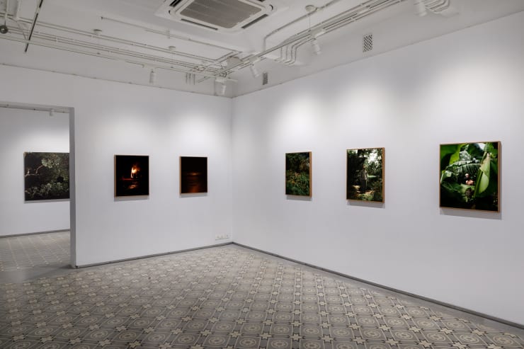 Soumya Sankar Bose | Where The Birds Never Sing | Experimenter – Ballygunge Place | April 21 – July 31, 2021