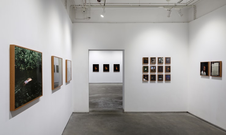 Soumya Sankar Bose | Where The Birds Never Sing | Experimenter – Ballygunge Place | April 21 – July 31, 2021