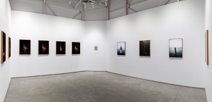 Soumya Sankar Bose | Where The Birds Never Sing | Experimenter – Ballygunge Place | April 21 – July 31, 2021