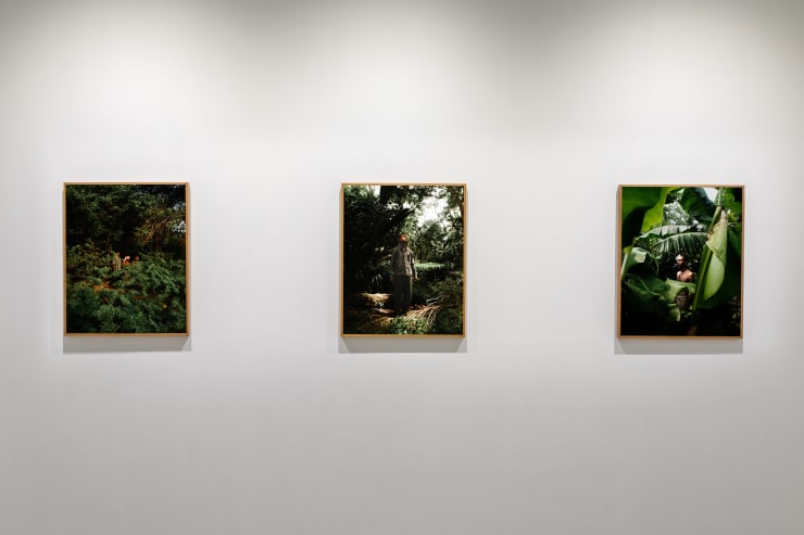 Soumya Sankar Bose | Where The Birds Never Sing | Experimenter – Ballygunge Place | April 21 – July 31, 2021