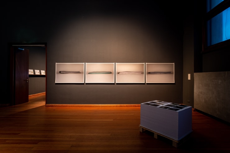 Bani Abidi | They died laughing | Gropius Bau, Berlin | June 6 – September 22, 2019