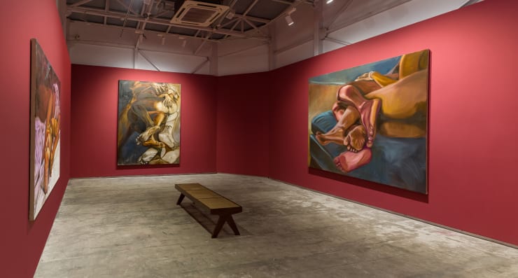 Bhasha Chakrabarti | Skin to Skin, Experimenter - Ballygunge Place, install view, 2023.