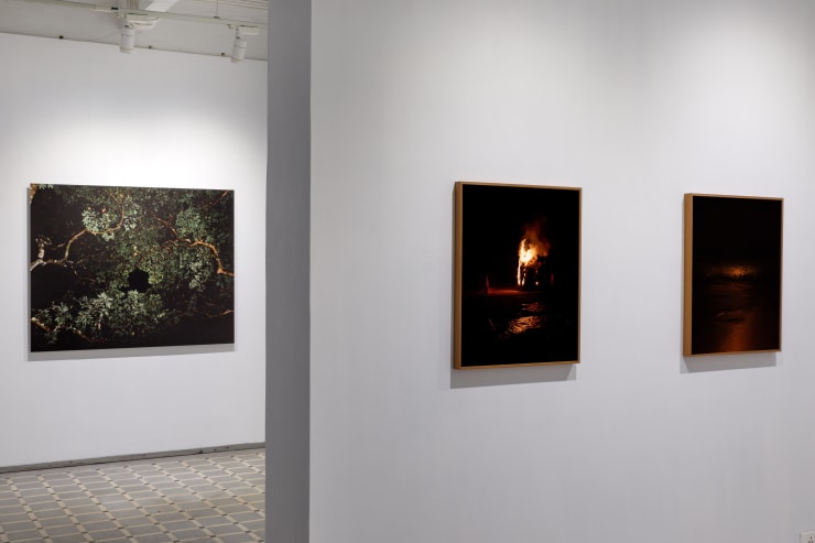 Soumya Sankar Bose | Where the Birds Never Sing Experimenter – Ballygunge Place