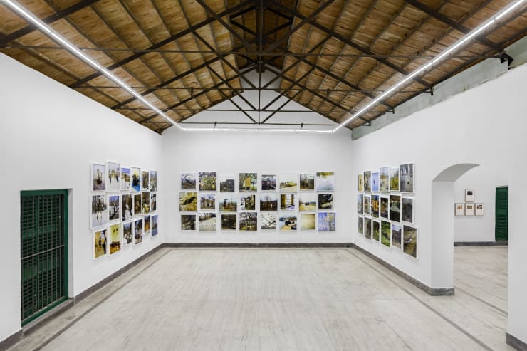 Sohrab Hura | A Winter Summer, Alipore Museum, Kolkata