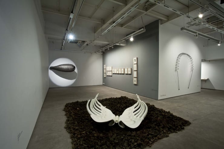 Elle : Art lovers in Kolkata pay a visit to the Experimenter