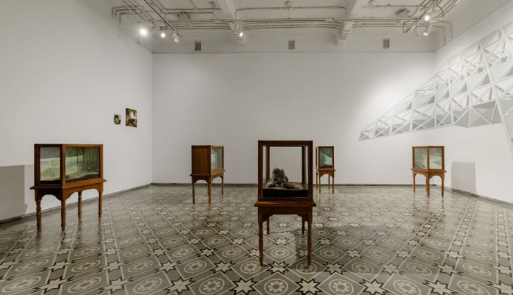 Mousse Magazine: Sahil Naik “Specters, Specimens and Ships in Doubt” at Experimenter, Kolkata