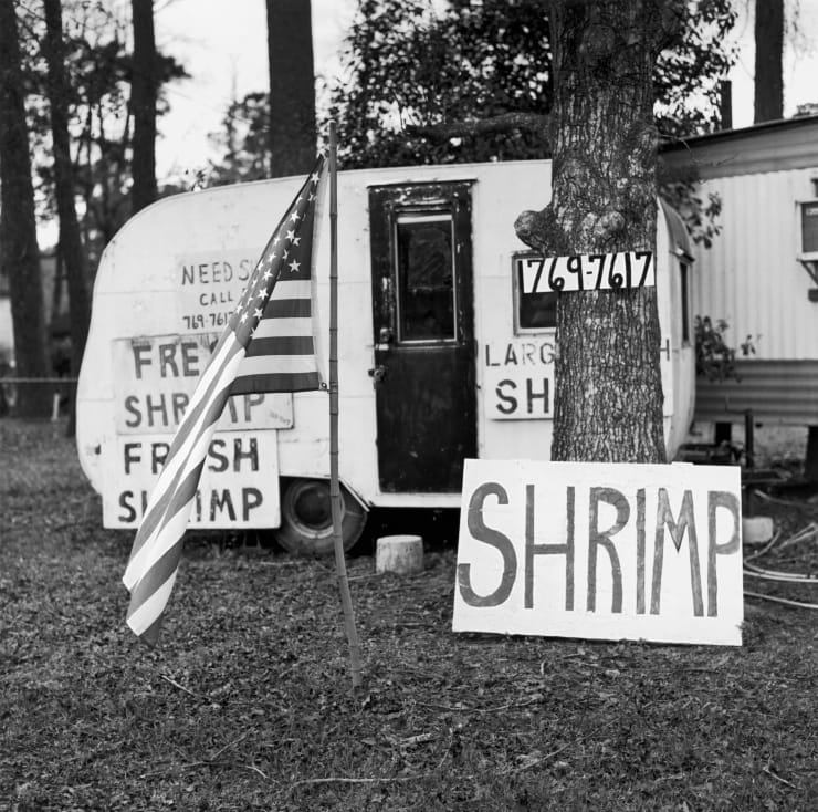 Dave Anderson, Call Dot For Shrimp, 2004