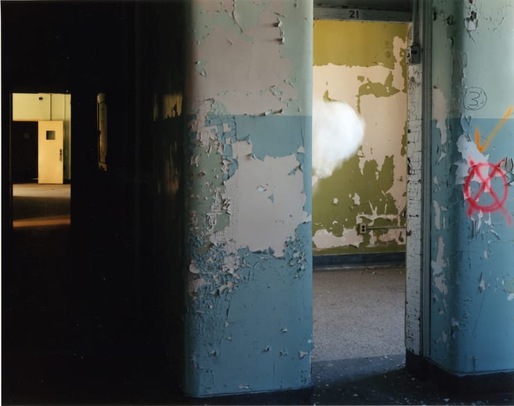 Laura Larson, Monitor, 2005