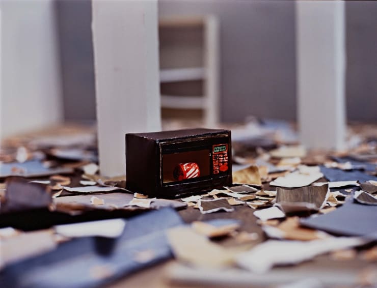 Kate Belton, Microwave, 1998