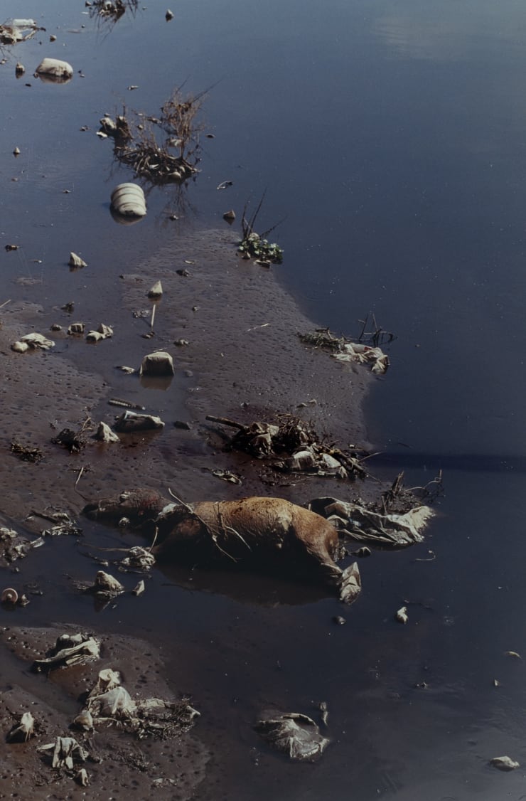 Barbara Neijna, Untitled #1 from the Survival Series-Lerma, 1999