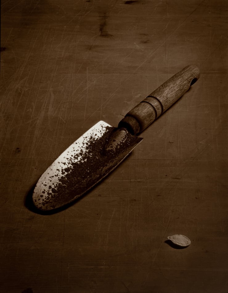 Priscilla Ferguson, Trowel And Seed, 2001