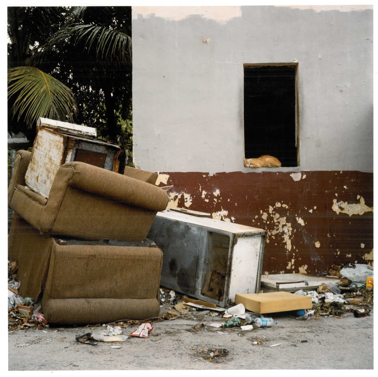 Peggy Levison Nolan , Cat In Dump (Overtown Youth Center Project), 2003