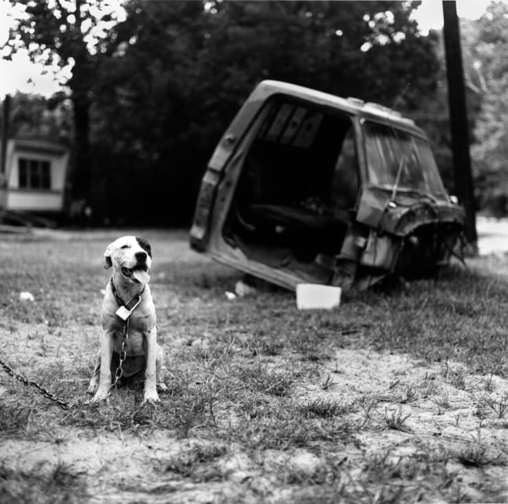 Dave Anderson, Padlocked, 2004