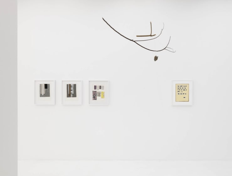 Brunomunari Baixa Dingmusa 20 Din3033