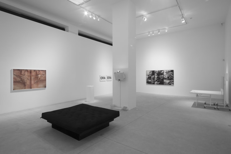 Fernando Laszlo Mg 3765 B