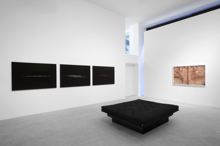 Fernando Laszlo Mg 3962F