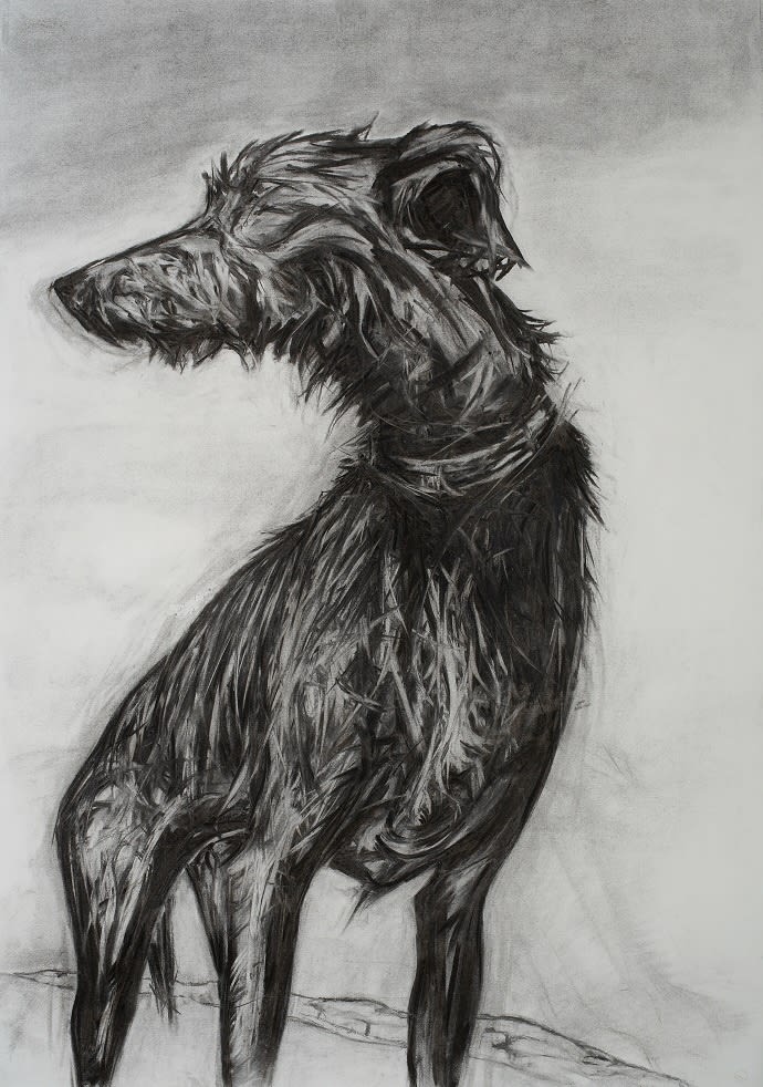 Fleigh Charcoal On Paper 66X91Cm Medium