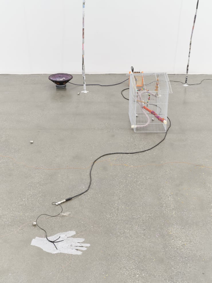 20240121 Sebastian 023 4000Px