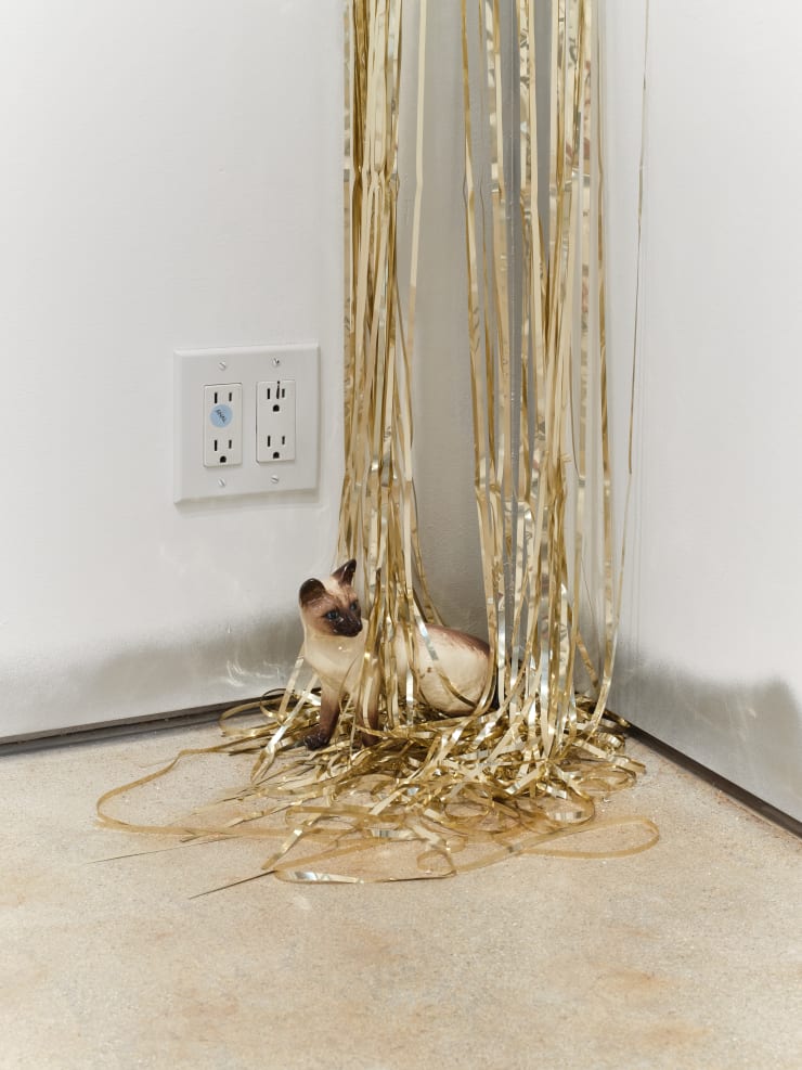 20251029 Sebastian 024 4000Px