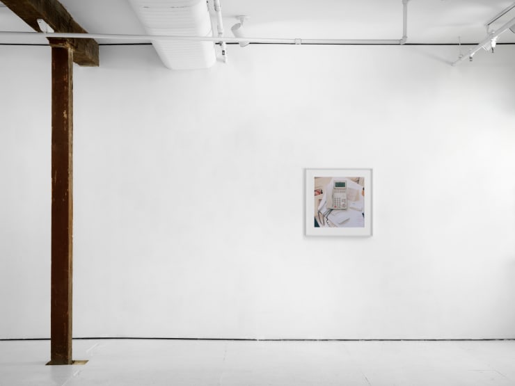 Juliana Halpert "Bountiful Years" New York