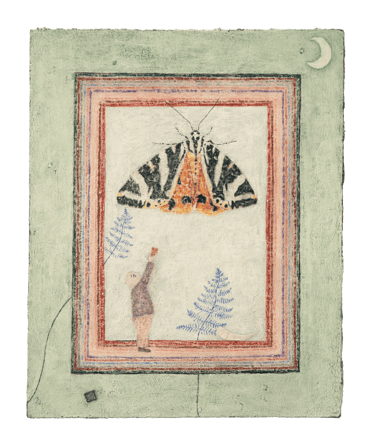 I couldn’t have known you from all sides I am the cuckoo butterfly, I caught the chubby wee man’s eye. He took his glass and cardboard square And saved my life right then and there. He threw me to the daytime sky, Believing in my cuckoo lie – Despite not eating wool or cloth, I am, in fact, a humble moth.