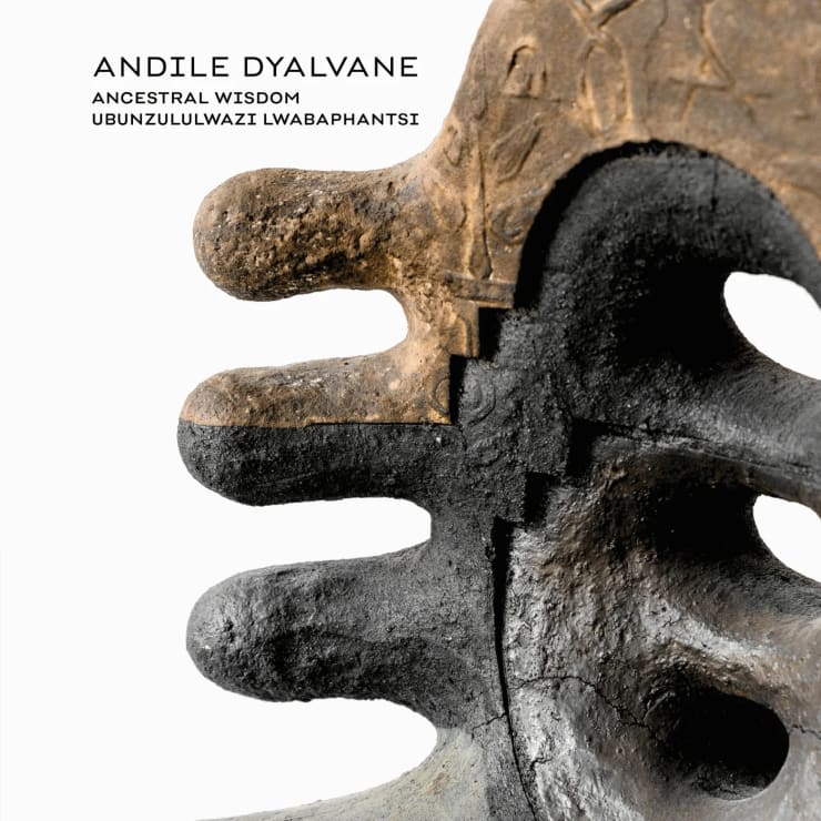 ANDILE DYALVANE
