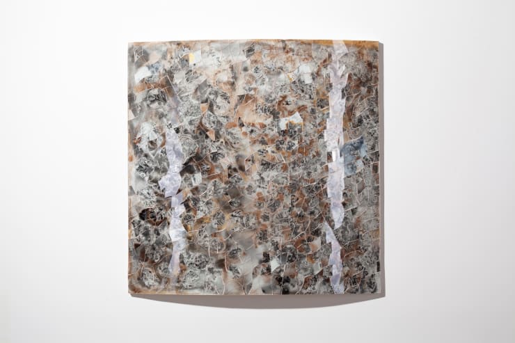 Rebecca Newnham, Riverscape Series Crown Shyness 3, 2024