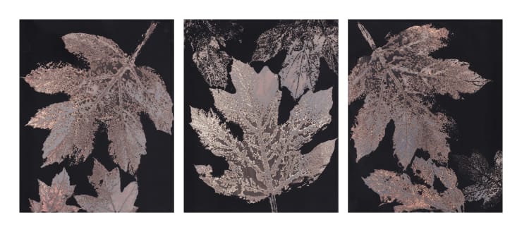 Louise Tunnard, Canopy Triptych IV, 2023
