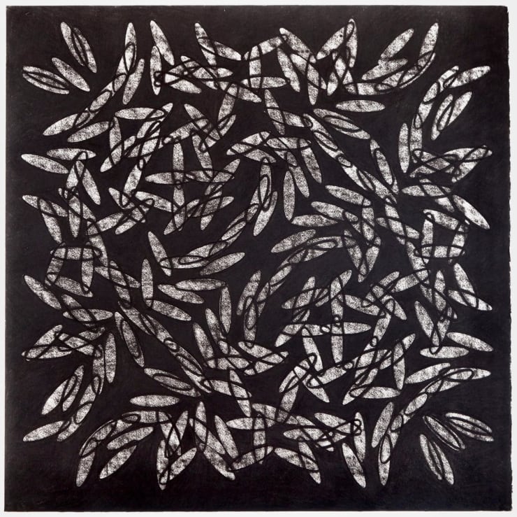 Tim Harrisson, Active Life II, 2019