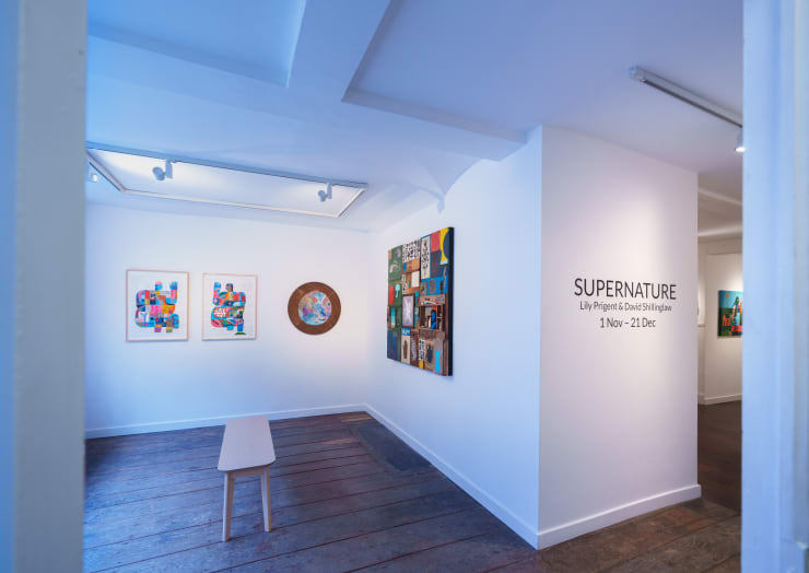 SUPERNATURE Lily Prigent & David Shillinglaw