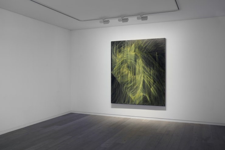 linn meyers: Rings of Saturn